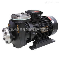 rgp 100热油循环高温离心泵
