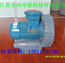 防爆旋涡气泵