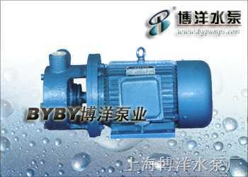 32w 30清水旋涡泵