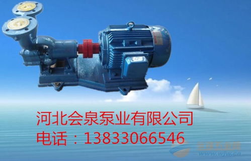旋涡泵 20w 65加药泵